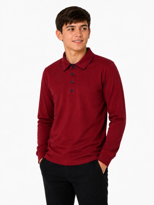 Bluza baieti GABRIEL grena contrast